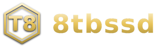 8tbssd logo